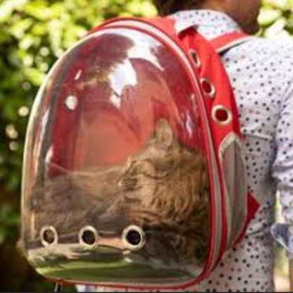 Voyager Cat Backpack