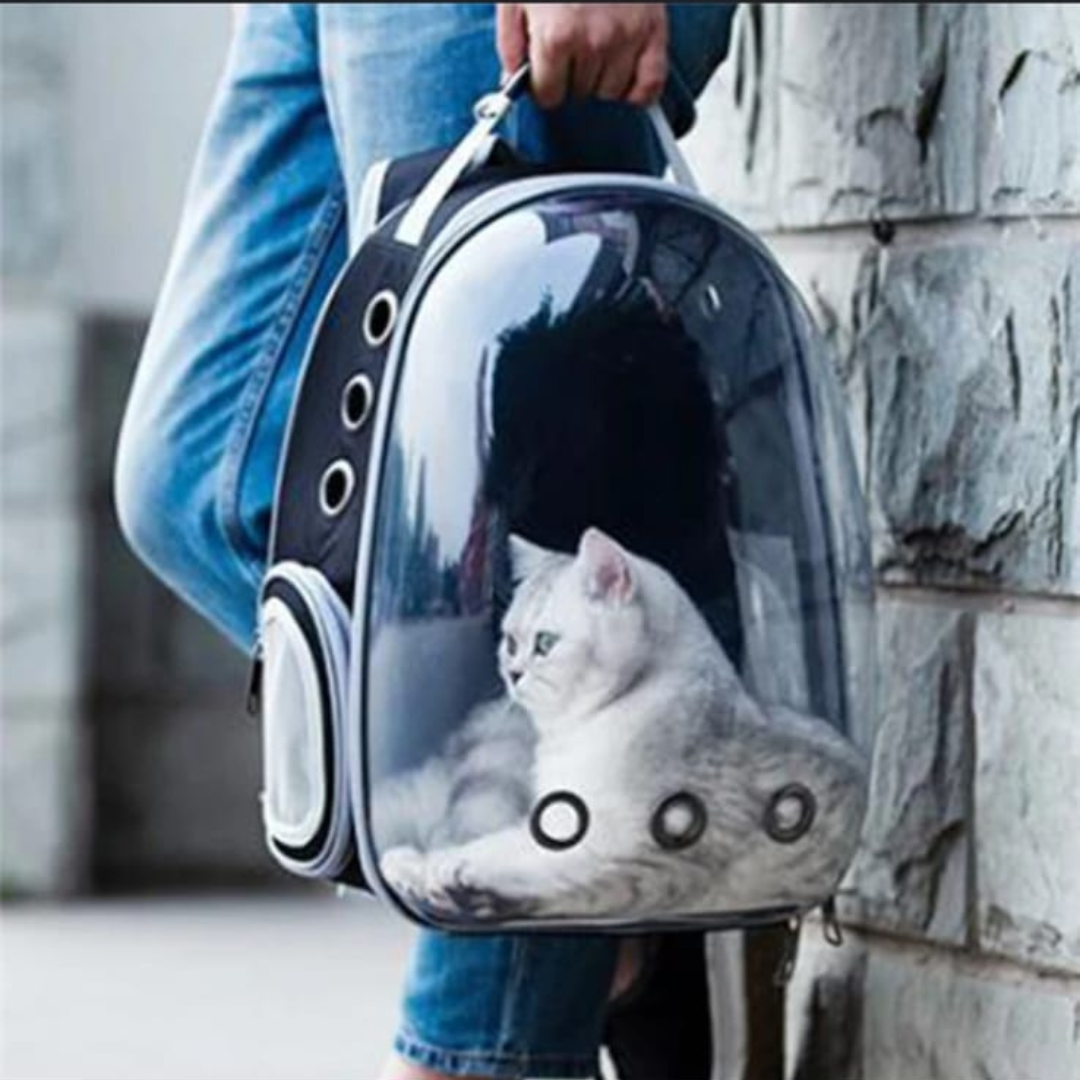 Voyager Cat Backpack