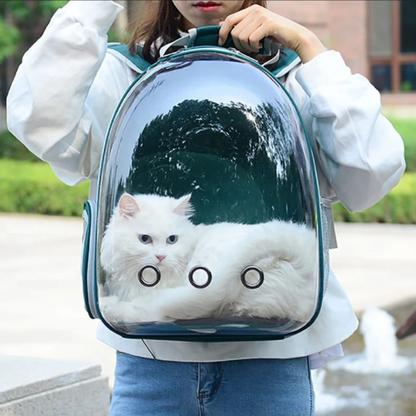 Voyager Cat Backpack