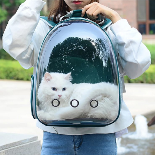 Voyager Cat Backpack