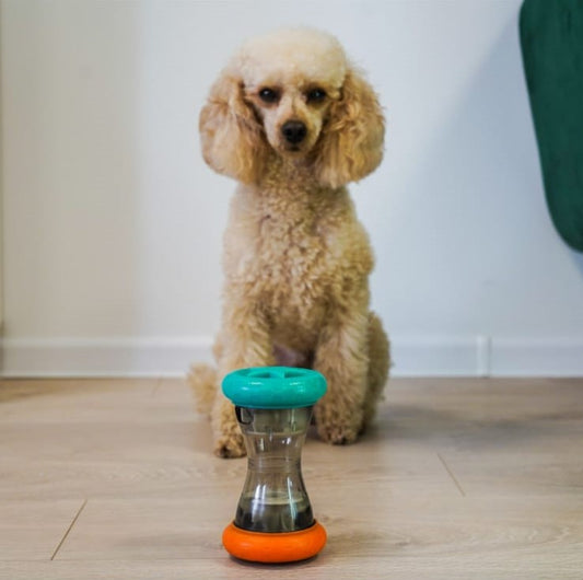 Interactive Barbell-Shaped Dog Puzzle Toy