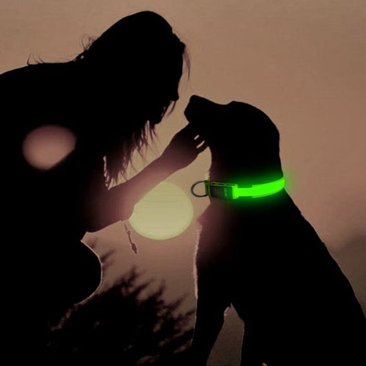 VIZPET Illuminated Dog Collar for Enhanced Safety